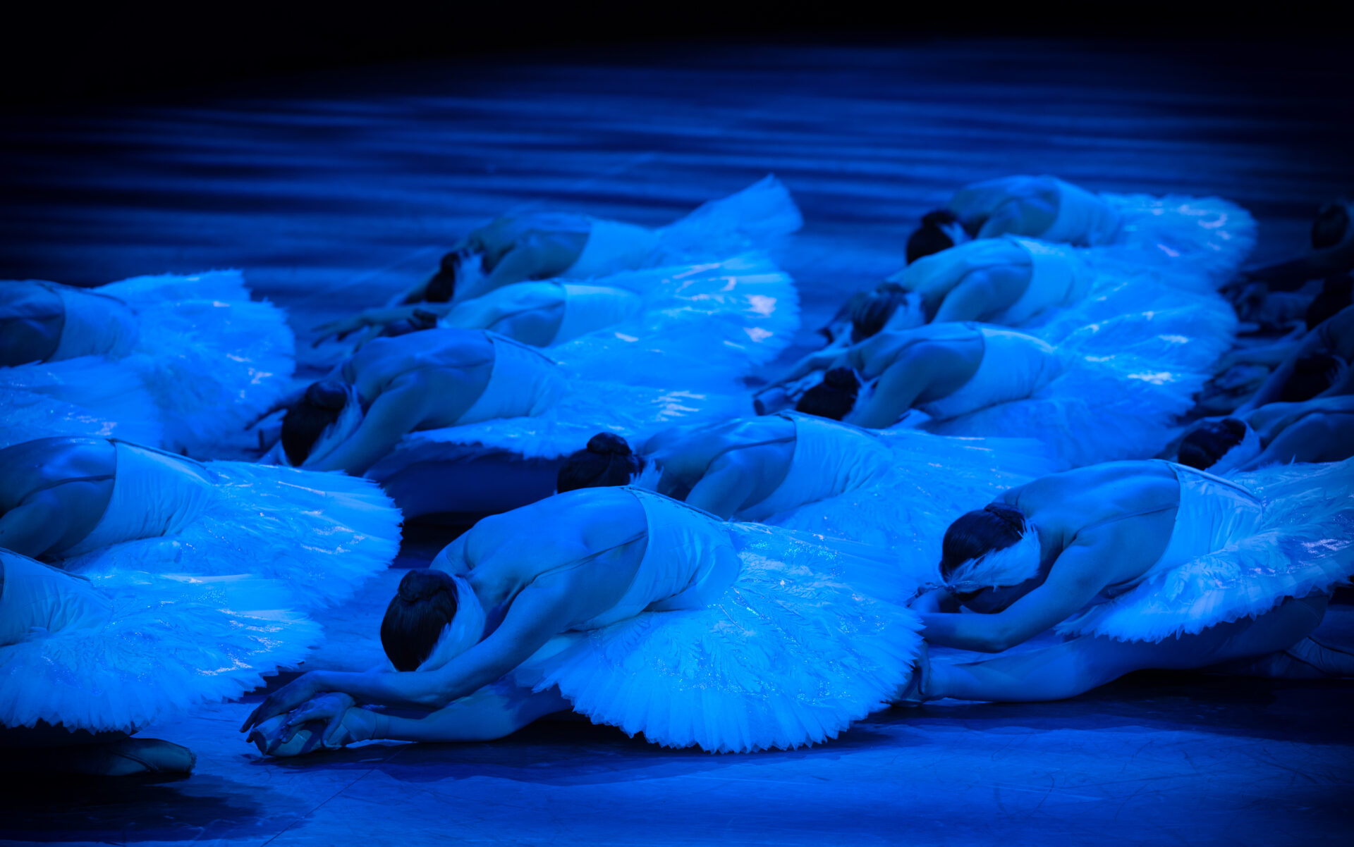 Swan Lake in-the-round: Extract | English National Ballet